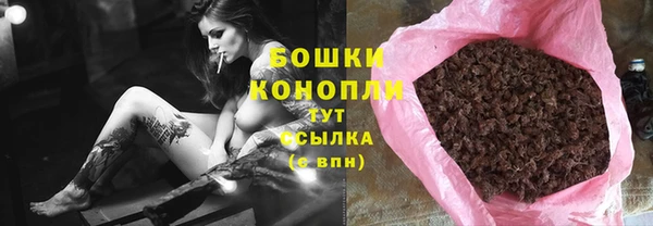 гидра Гусиноозёрск